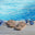 Poolchemie.at logo